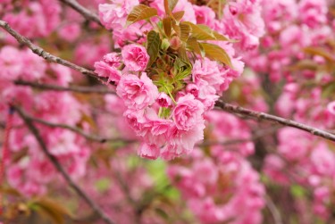 湖州南浔区4线下个人借款平台一站式服务，轻松解决资金难题