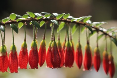 湖州南浔区4零用贷短借：轻松解决临时资金需求